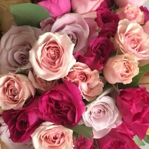 Meet your Posher, Pamela